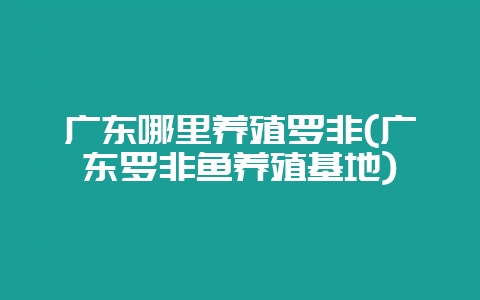 广东哪里养殖罗非(广东罗非鱼养殖基地)-会东网