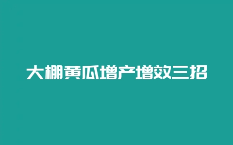 大棚黄瓜增产增效三招-会东网