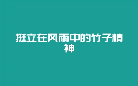 挺立在风雨中的竹子精神-会东网