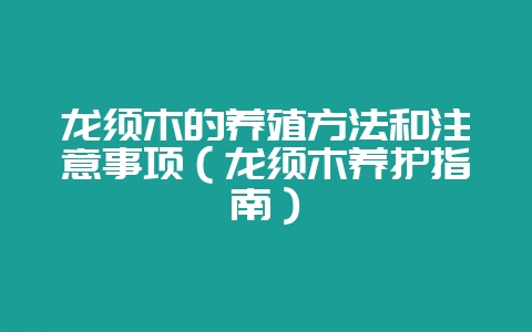 龙须木的养殖方法和注意事项(龙须木养护指南)-会东网