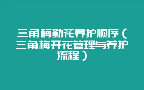 三角梅勤花养护顺序（三角梅开花管理与养护流程）-会东网