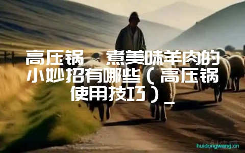 高压锅炖煮美味羊肉的小妙招有哪些（高压锅使用技巧）_-会东网
