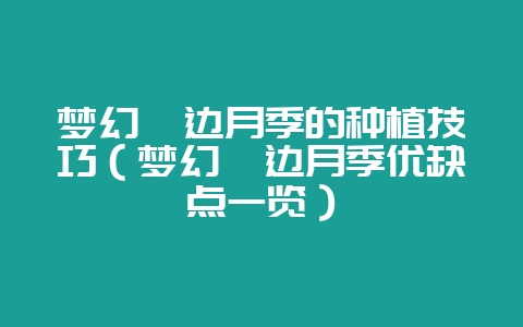 梦幻褶边月季的种植技巧（梦幻褶边月季优缺点一览）-会东网