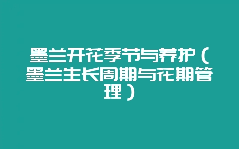 墨兰开花季节与养护（墨兰生长周期与花期管理）-会东网