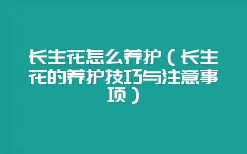 长生花怎么养护(长生花的养护技巧与注意事项)-会东网