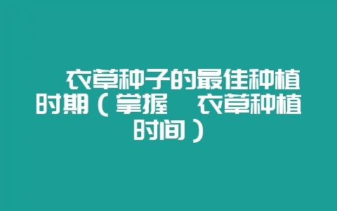 薰衣草种子的最佳种植时期(掌握薰衣草种植时间)-会东网