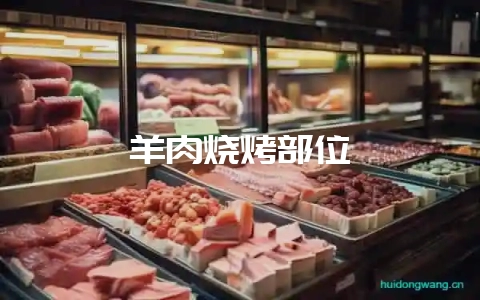 羊肉烧烤部位-会东网