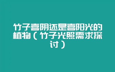 竹子喜阴还是喜阳光的植物(竹子光照需求探讨)-会东网