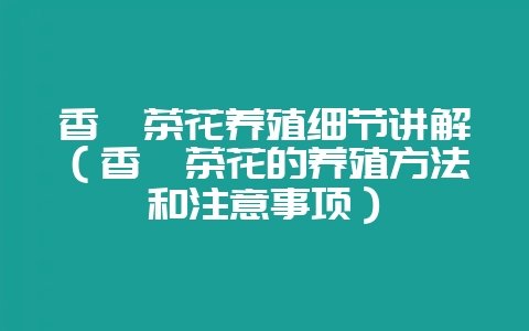 香妃茶花养殖细节讲解(香妃茶花的养殖方法和注意事项)插图 香妃茶花养殖细节讲解(香妃茶花的养殖方法和注意事项)插图
