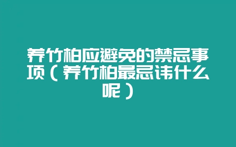 养竹柏应避免的禁忌事项（养竹柏最忌讳什么呢）-会东网