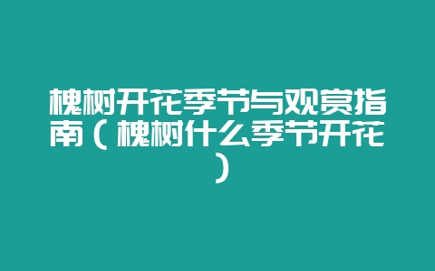 槐树开花季节与观赏指南（槐树什么季节开花）-会东网