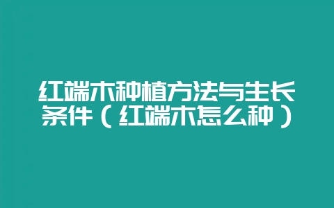 红端木种植方法与生长条件(红端木怎么种)-会东网