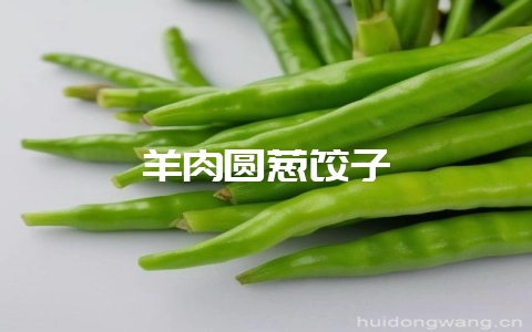 羊肉圆葱饺子-会东网