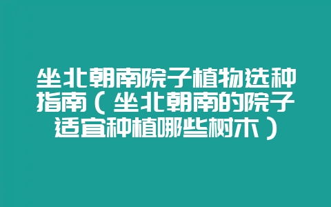 坐北朝南院子植物选种指南（坐北朝南的院子适宜种植哪些树木）-会东网