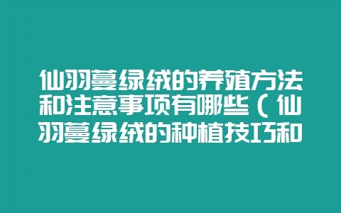 仙羽蔓绿绒的养殖方法和注意事项有哪些(仙羽蔓绿绒的种植技巧和-会东网