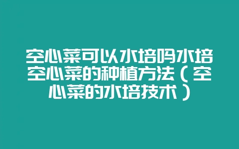 空心菜可以水培吗水培空心菜的种植方法(空心菜的水培技术)-会东网