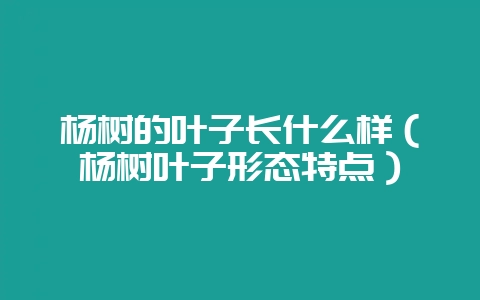 杨树的叶子长什么样（杨树叶子形态特点）-会东网