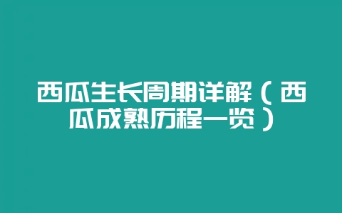 西瓜生长周期详解(西瓜成熟历程一览)-会东网