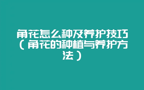 角花怎么种及养护技巧(角花的种植与养护方法)-会东网