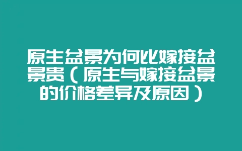 原生盆景为何比嫁接盆景贵（原生与嫁接盆景的价格差异及原因）-会东网