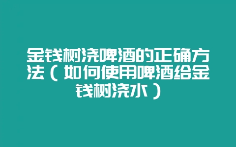 金钱树浇啤酒的正确方法(如何使用啤酒给金钱树浇水)-会东网