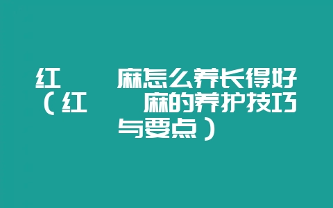 红萼苘麻怎么养长得好(红萼苘麻的养护技巧与要点)-会东网
