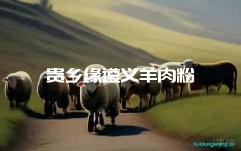 贵乡缘遵义羊肉粉-会东网