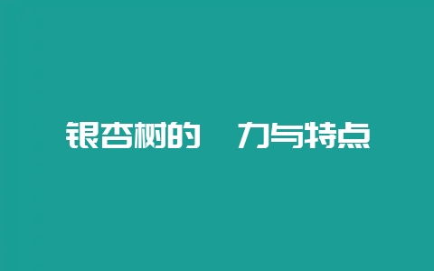 银杏树的魅力与特点-会东网