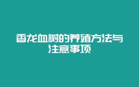 香龙血树的养殖方法与注意事项-会东网
