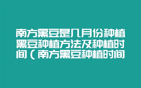 南方黑豆是几月份种植黑豆种植方法及种植时间（南方黑豆种植时间-会东网
