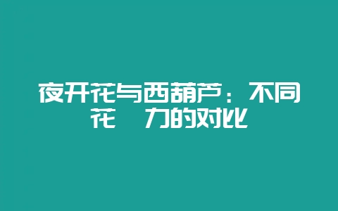 夜开花与西葫芦：不同花魅力的对比-会东网