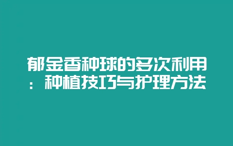 郁金香种球的多次利用：种植技巧与护理方法-会东网