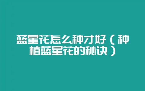 蓝星花怎么种才好(种植蓝星花的秘诀)-会东网