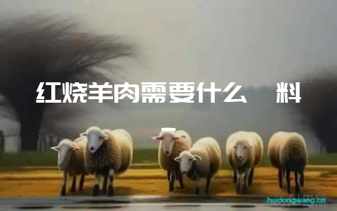 红烧羊肉需要什么佐料_-会东网