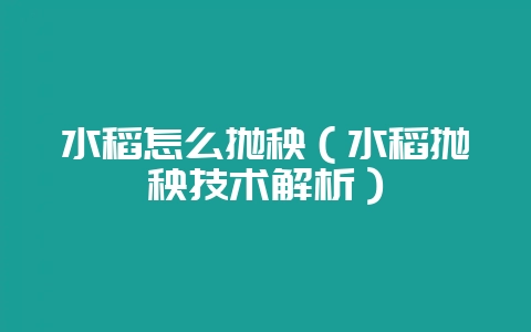 水稻怎么抛秧（水稻抛秧技术解析）-会东网