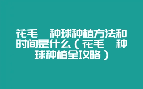 花毛茛种球种植方法和时间是什么（花毛茛种球种植全攻略）-会东网