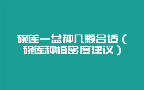 碗莲一盆种几颗合适（碗莲种植密度建议）-会东网