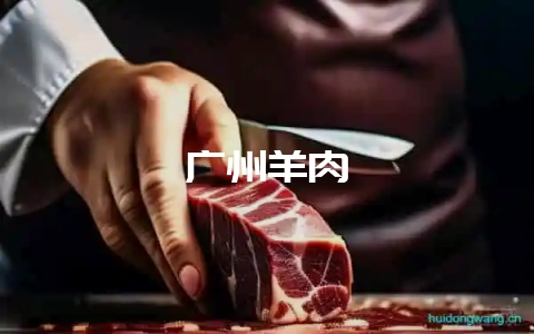 广州羊肉-会东网