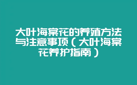大叶海棠花的养殖方法与注意事项（大叶海棠花养护指南）-会东网