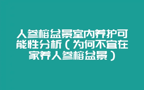 人参榕盆景室内养护可能性分析(为何不宜在家养人参榕盆景)-会东网
