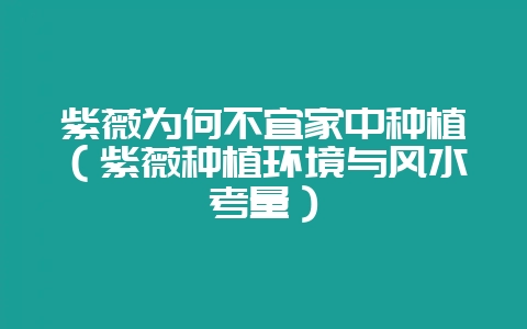 紫薇为何不宜家中种植（紫薇种植环境与风水考量）-会东网