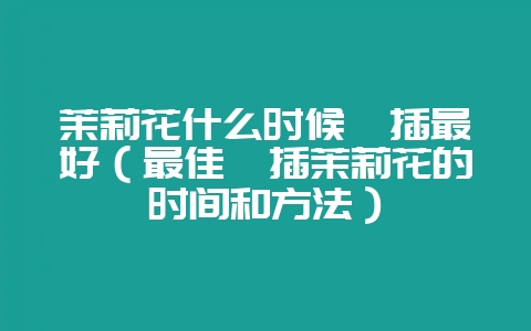 茉莉花什么时候扦插最好(最佳扦插茉莉花的时间和方法)-会东网