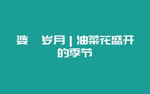 婆娑岁月｜油菜花盛开的季节-会东网
