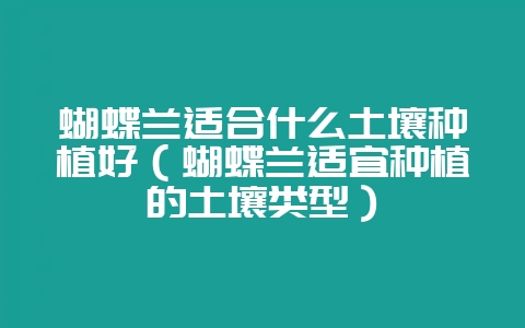 蝴蝶兰适合什么土壤种植好(蝴蝶兰适宜种植的土壤类型)-会东网