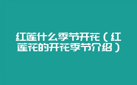 红莲什么季节开花(红莲花的开花季节介绍)-会东网