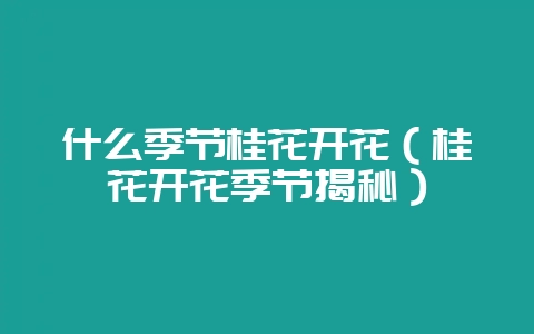 什么季节桂花开花（桂花开花季节揭秘）-会东网