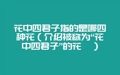 花中四君子指的是哪四种花（介绍被称为“花中四君子”的花卉）-会东网
