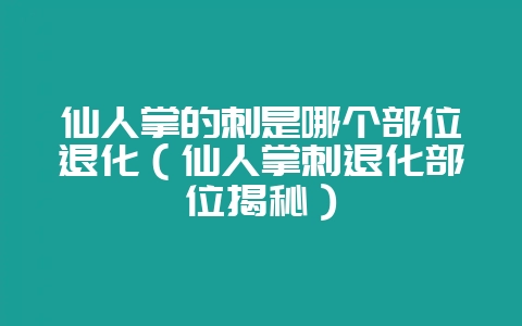 仙人掌的刺是哪个部位退化（仙人掌刺退化部位揭秘）-会东网