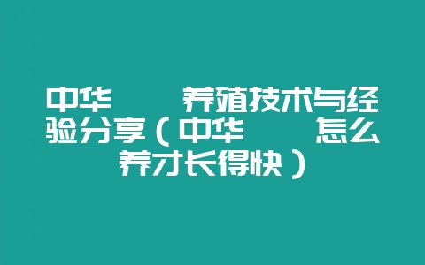 中华鹧鸪养殖技术与经验分享(中华鹧鸪怎么养才长得快)-会东网