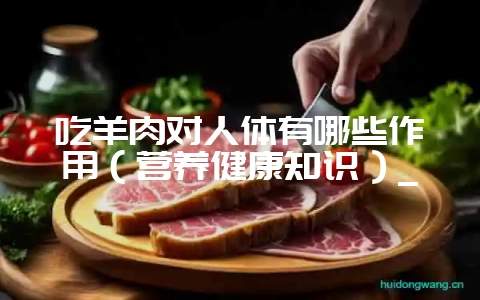 吃羊肉对人体有哪些作用(营养健康知识)_插图 吃羊肉对人体有哪些作用(营养健康知识)_插图